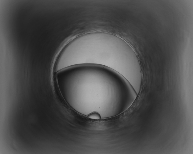 X0000099580104200805160754