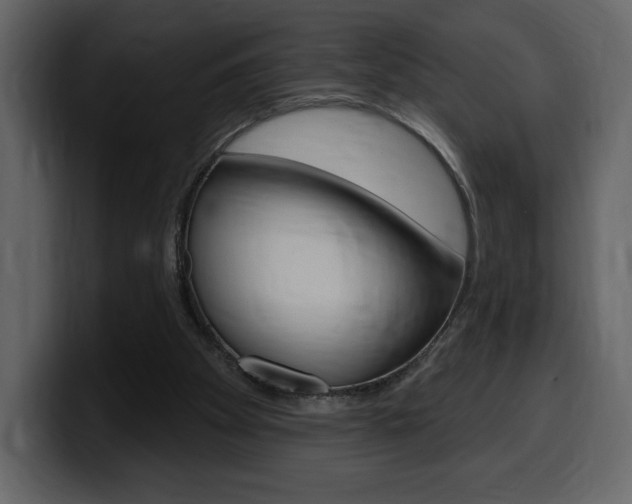 X0000099580105200805160754