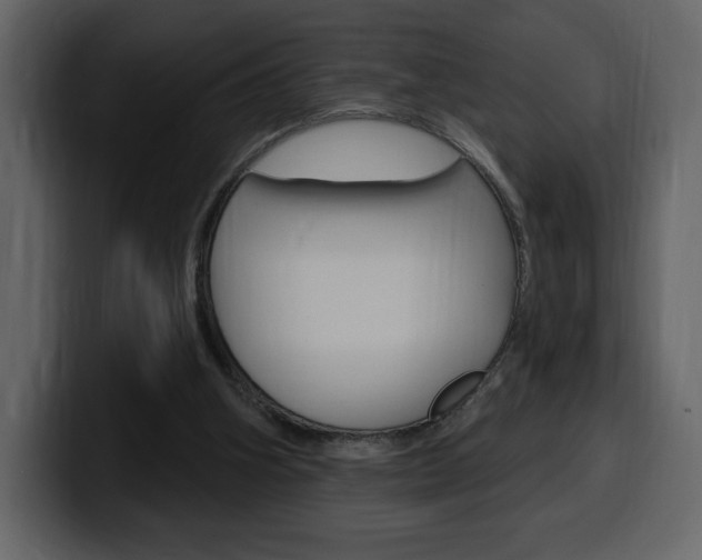 X0000099580106200805160754