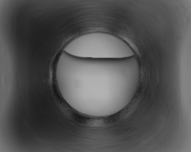 X0000099580110200805160754