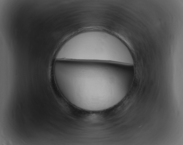 X0000099580111200805160754