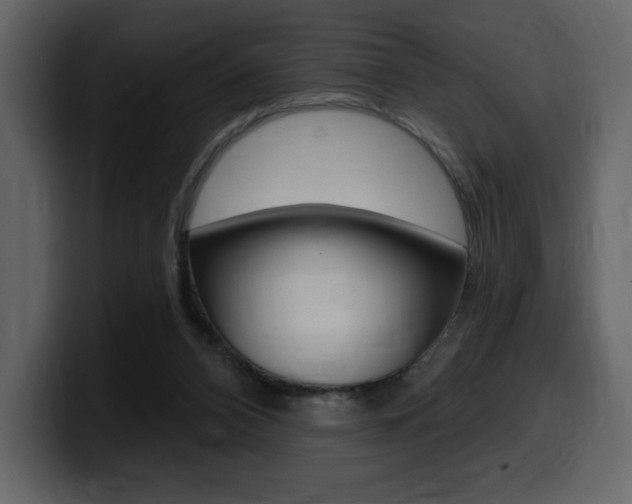 X0000099580112200805160754