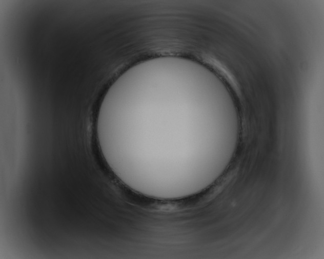 X0000099580113200805160754