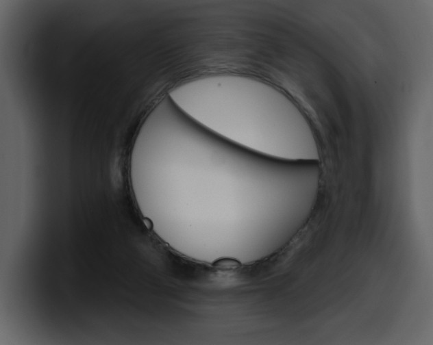 X0000099580114200805160754