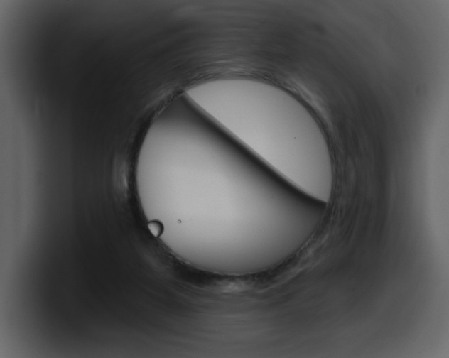 X0000099580115200805160754