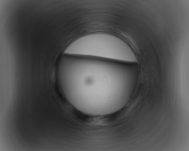 X0000099580121200805160754