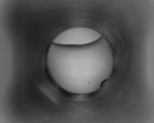 X0000099580122200805160754