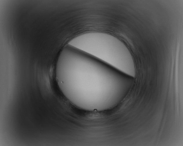 X0000099580123200805160754