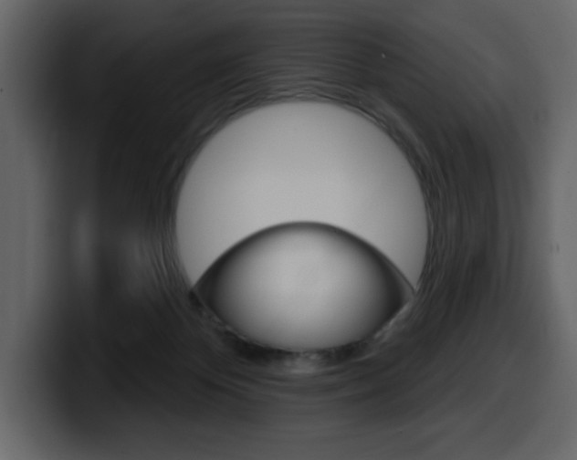 X0000099580124200805160754