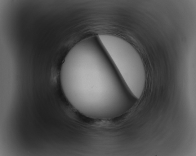 X0000099580125200805160753