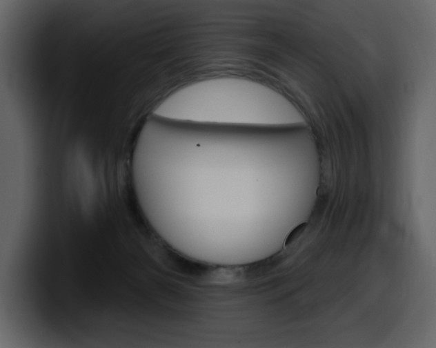 X0000099580126200805160753