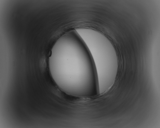 X0000099580128200805160753