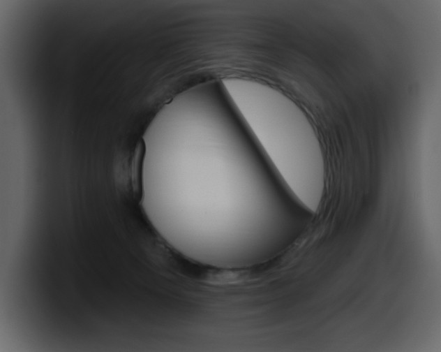 X0000099580129200805160753