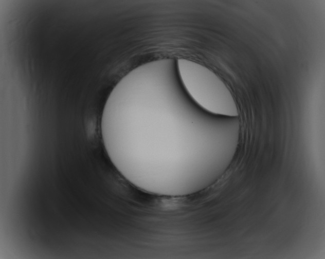 X0000099580134200805160753