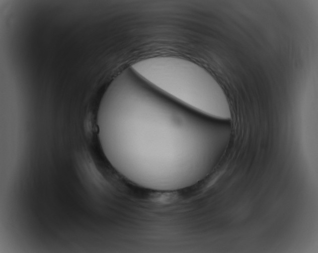 X0000099580135200805160753