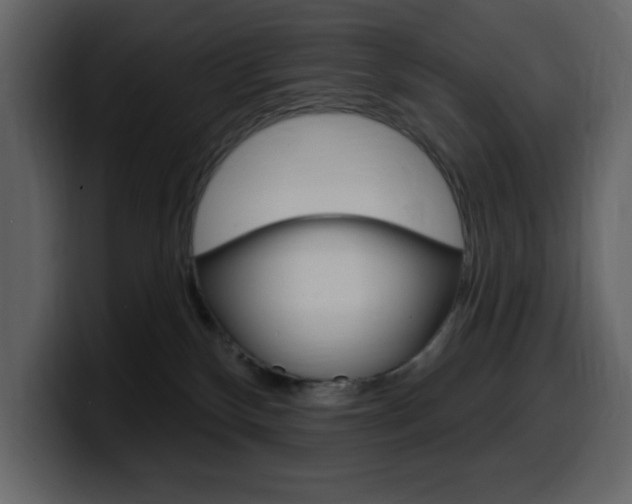 X0000099580136200805160753