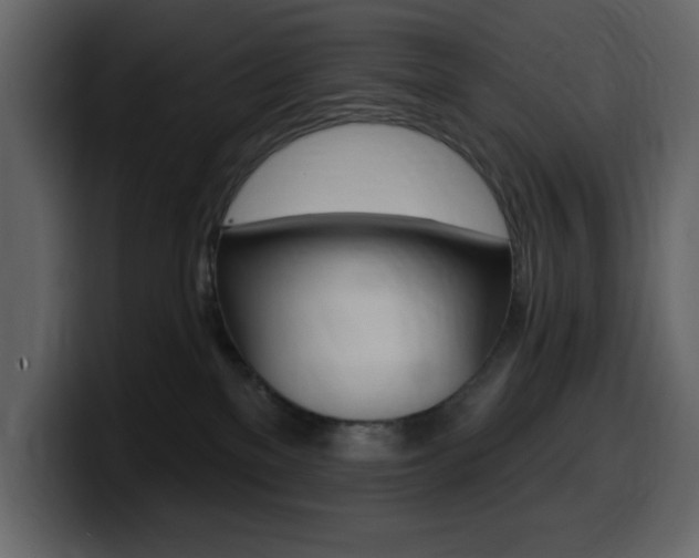 X0000099580137200805160753
