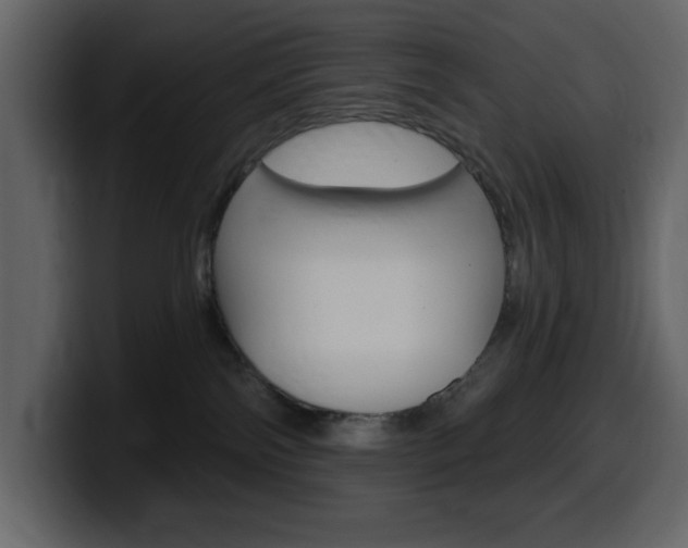 X0000099580138200805160753