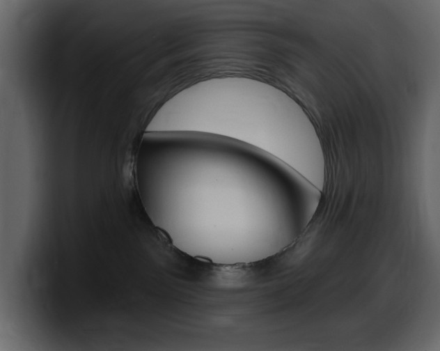 X0000099580141200805160753