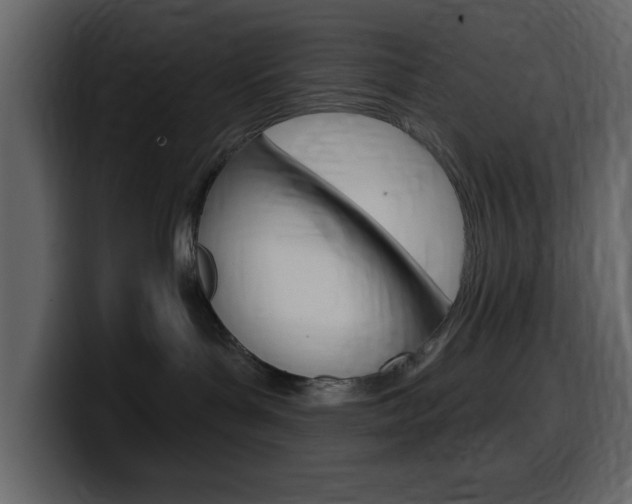 X0000099580143200805160753