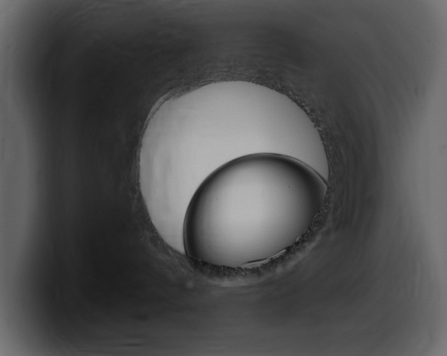 X0000099580144200805160753