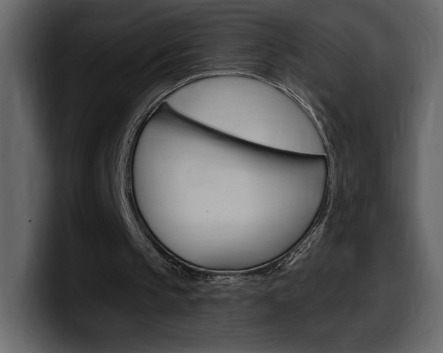 X0000099580145200805160753
