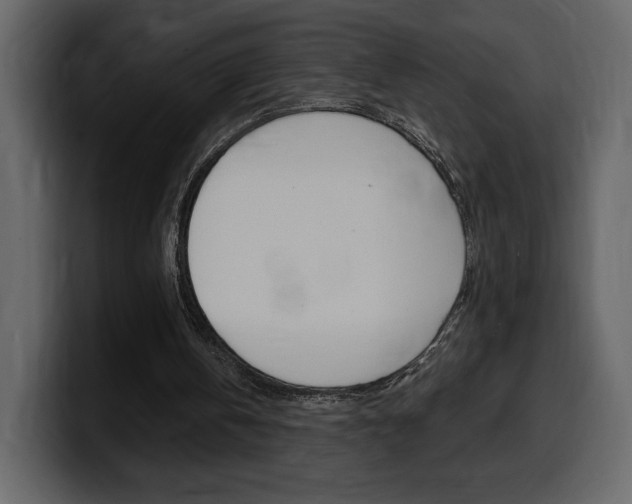 X0000099580146200805160753