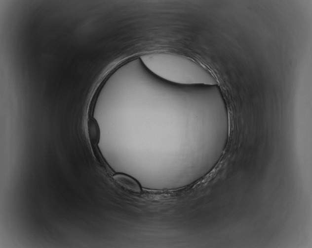 X0000099580147200805160753