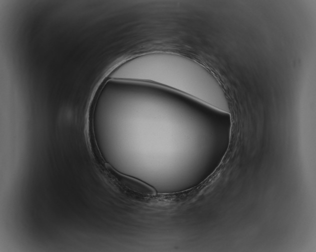 X0000099580148200805160753