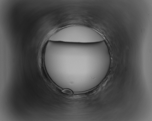 X0000099580149200805160753
