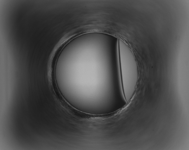 X0000099580150200805160753