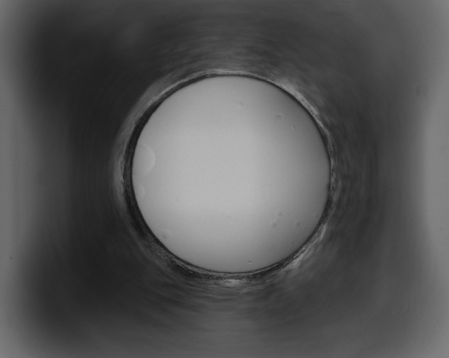 X0000099580151200805160753