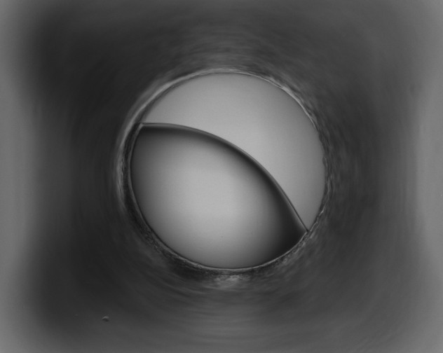 X0000099580152200805160753