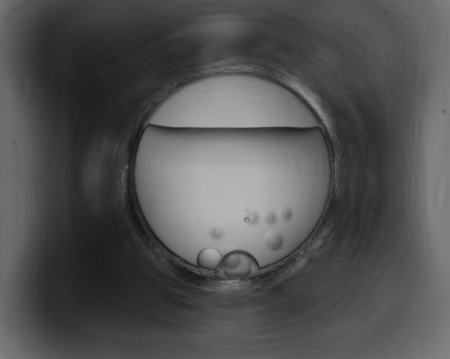 X0000099580153200805160753