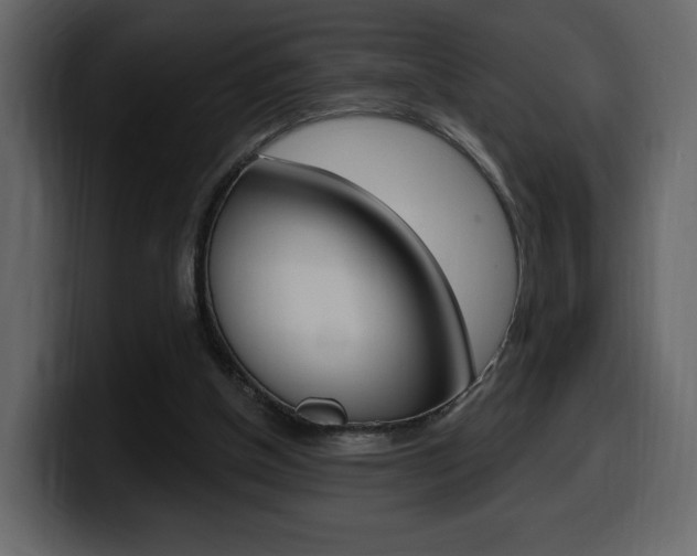 X0000099580154200805160753