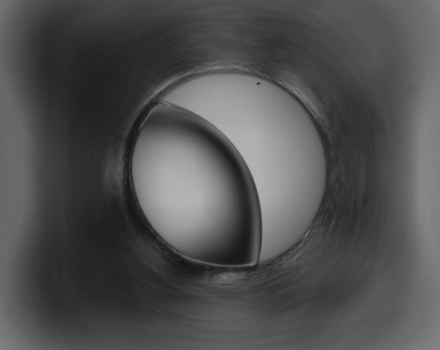 X0000099580156200805160753