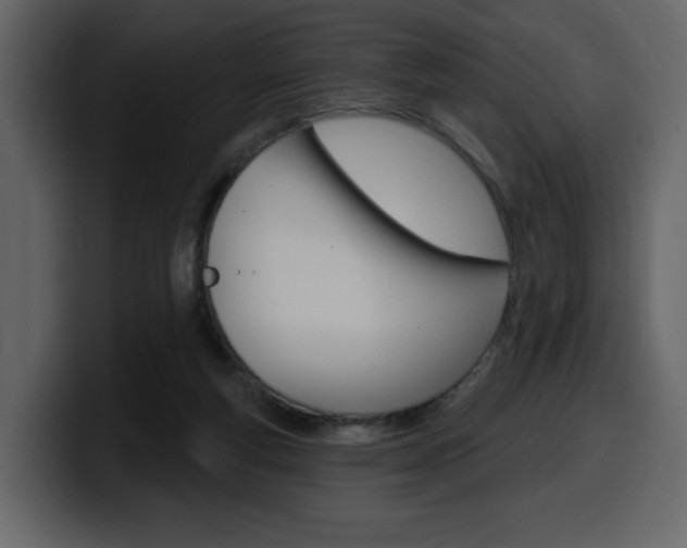 X0000099580163200805160753