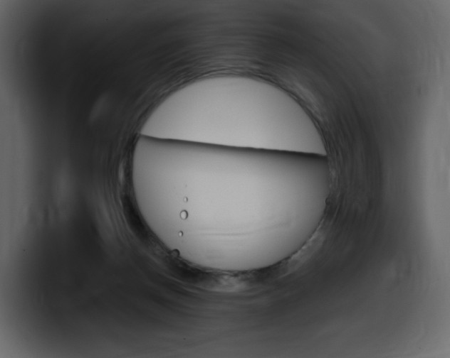 X0000099580166200805160753