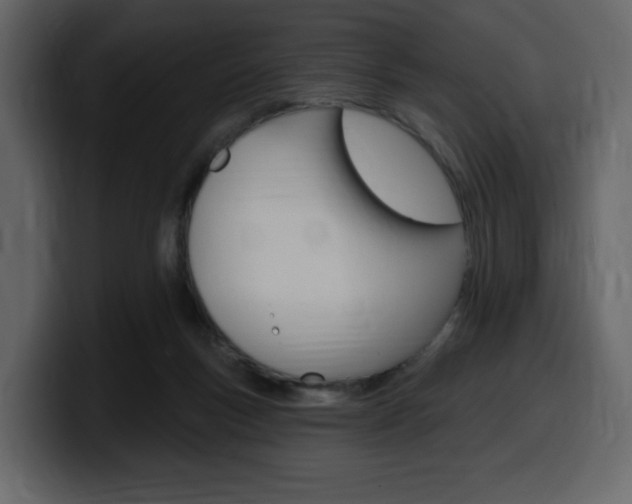 X0000099580167200805160753