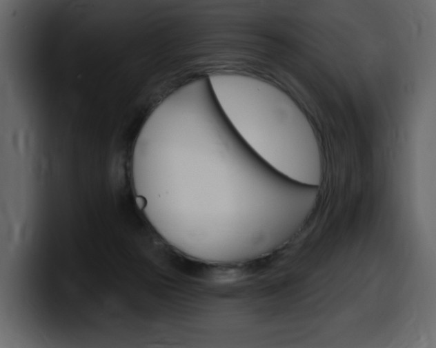 X0000099580169200805160753