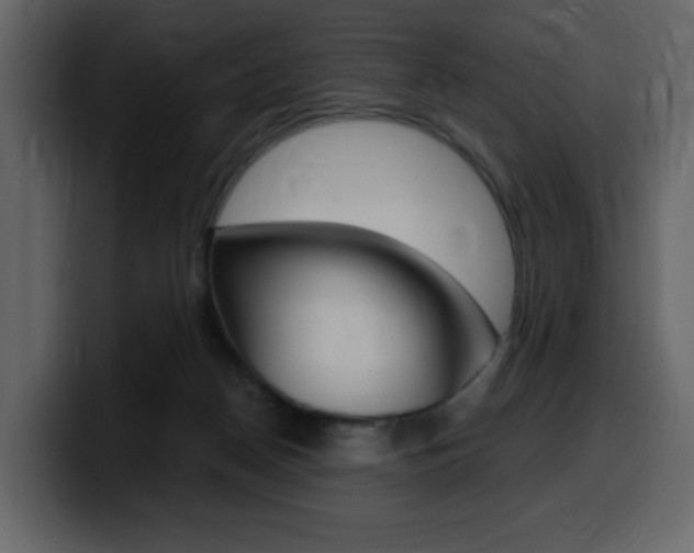 X0000099580170200805160753