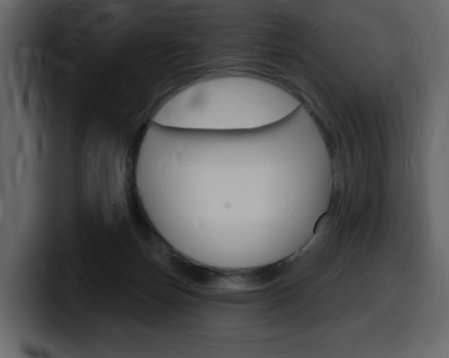X0000099580171200805160753