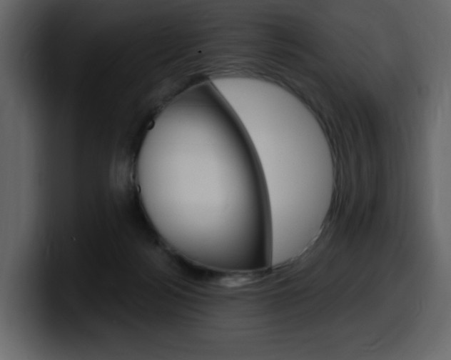 X0000099580172200805160753