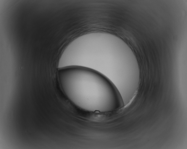 X0000099580174200805160753
