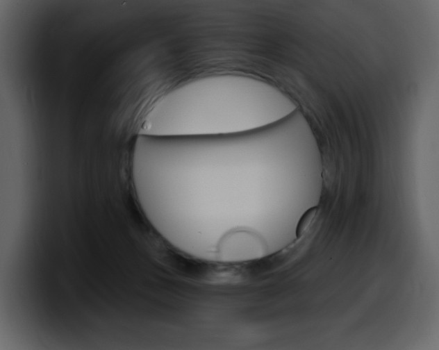 X0000099580175200805160753
