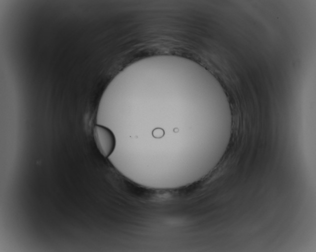 X0000099580177200805160753
