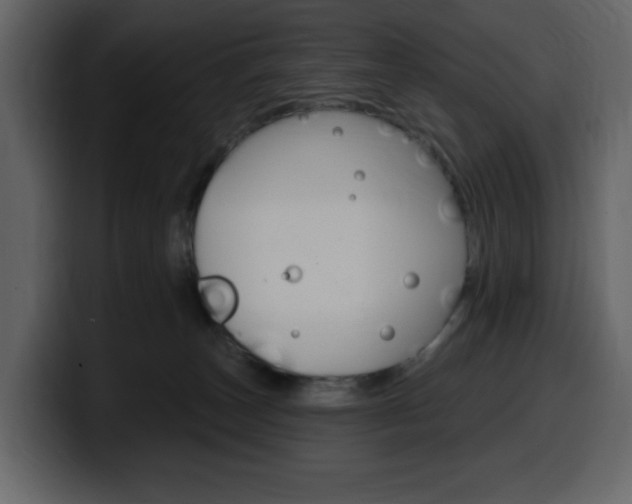 X0000099580179200805160753