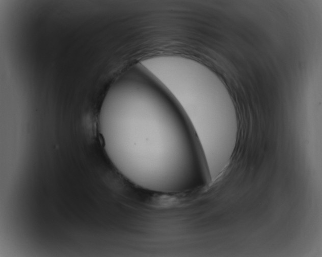 X0000099580180200805160753