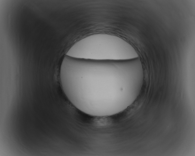 X0000099580181200805160753