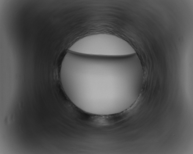 X0000099580182200805160753
